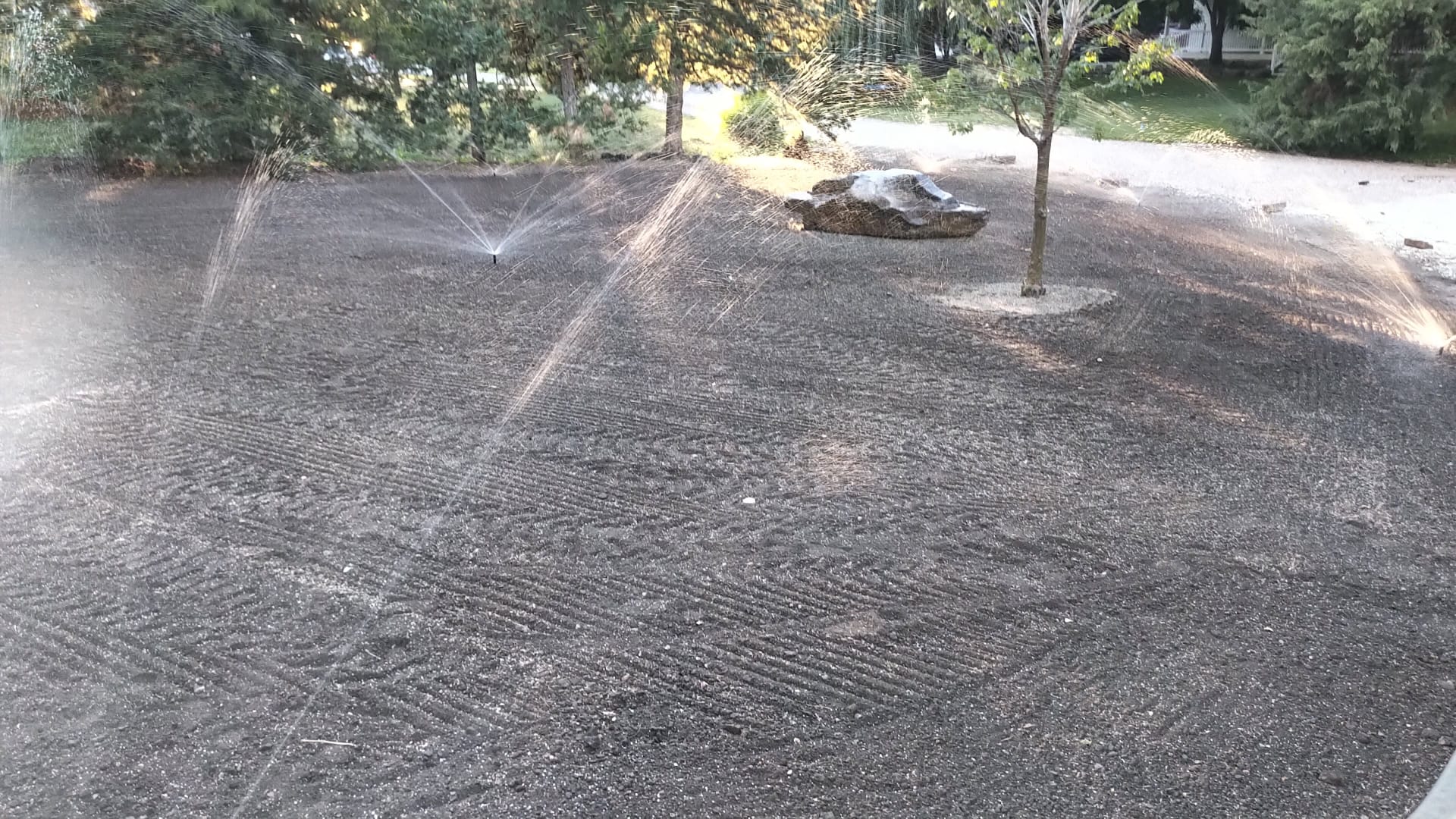 Seeded lawn with sprinklers running
